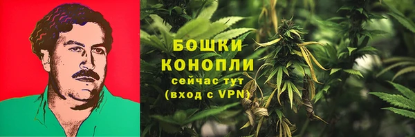 сатива Горнозаводск