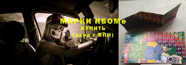 сатива Горнозаводск