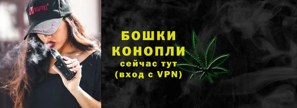 сатива Горнозаводск