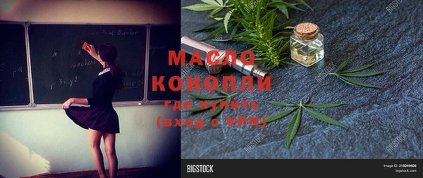 стаф Вязники