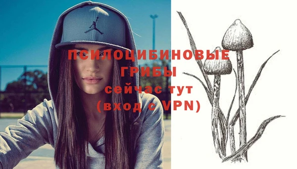мяу мяу мука Горняк