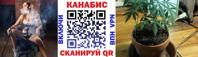 Конопля Bruce Banner  купить закладку  Владикавказ 